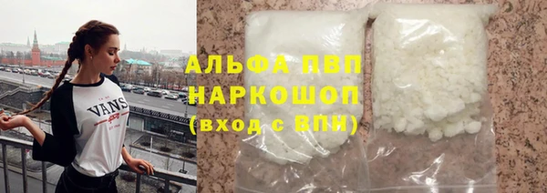 ПСИЛОЦИБИНОВЫЕ ГРИБЫ Богданович