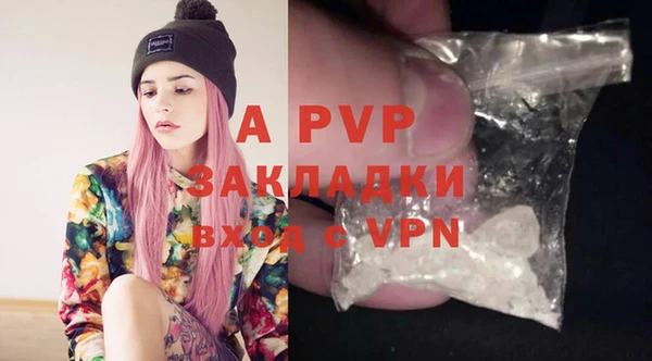ПСИЛОЦИБИНОВЫЕ ГРИБЫ Богданович