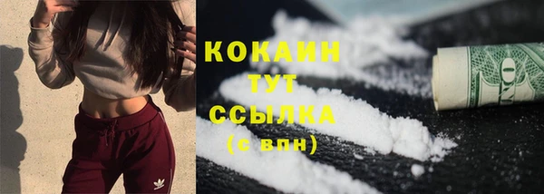 ПСИЛОЦИБИНОВЫЕ ГРИБЫ Богданович