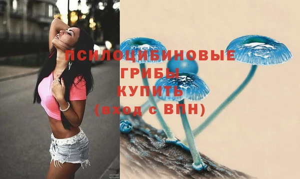 синтетический гашиш Богородицк