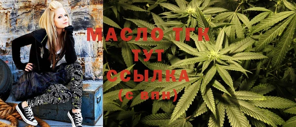 ПСИЛОЦИБИНОВЫЕ ГРИБЫ Богданович