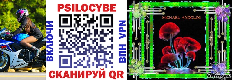 kraken ТОР где купить наркоту Севск Галлюциногенные грибы Psilocybe